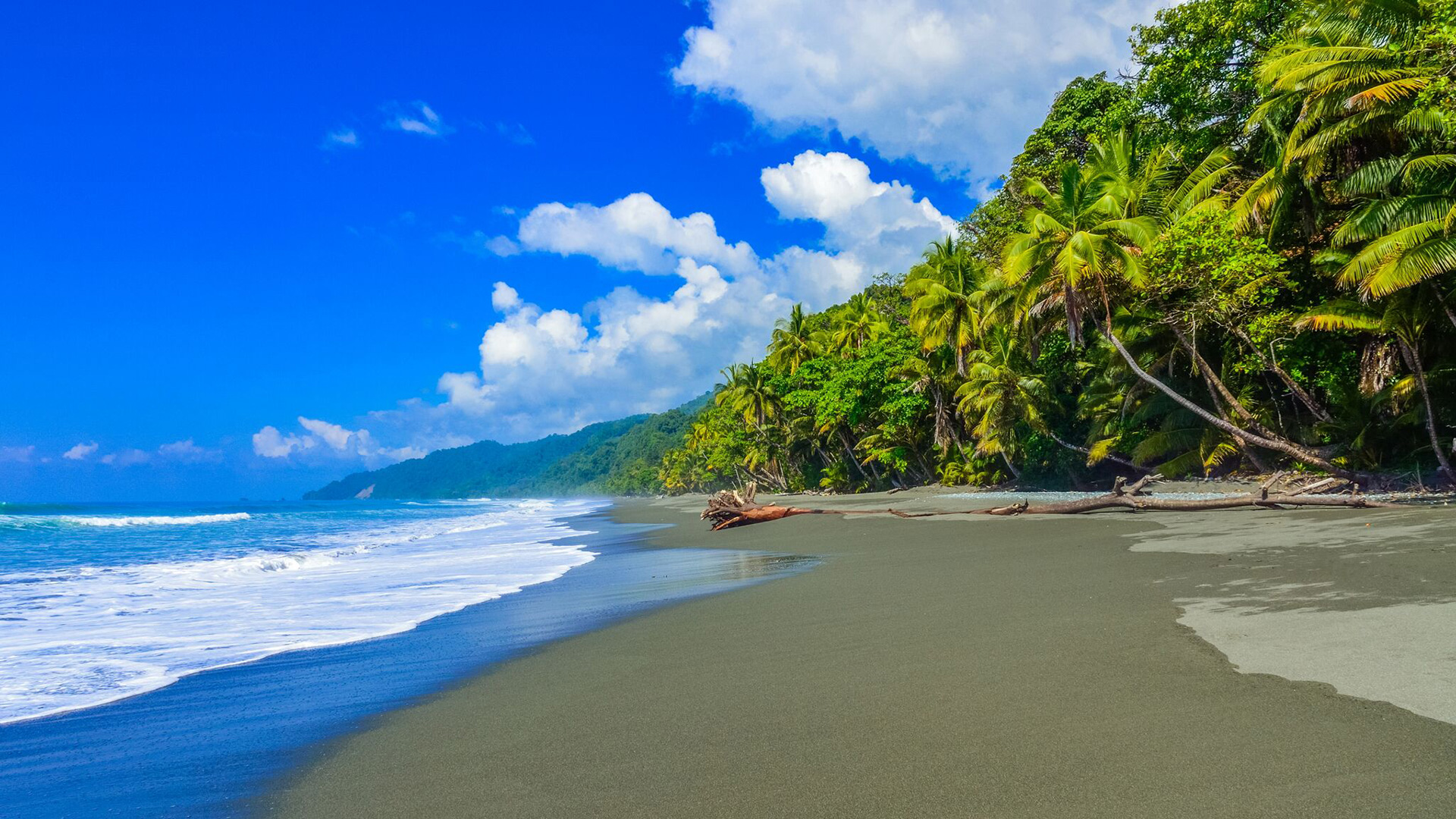 Corcovado-National-Park-Cost-Rica-ecotour