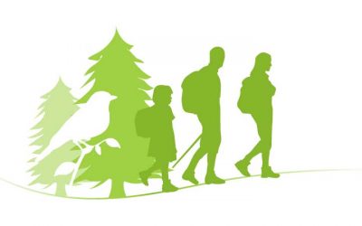 What is EcoTourism?