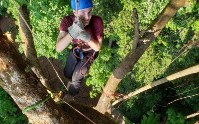 Costa Rica School Science Trip Report Feb 13-20, 2019