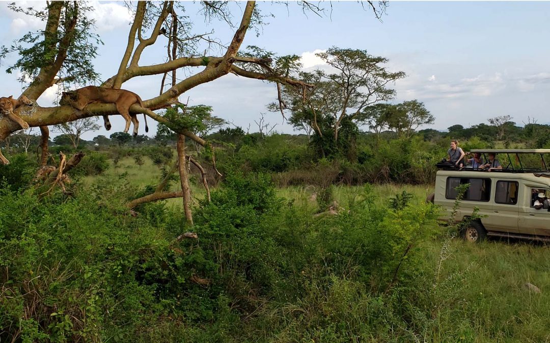 New York Times Travel List of 52 Places to Travel in 2020: Uganda – Tara Short