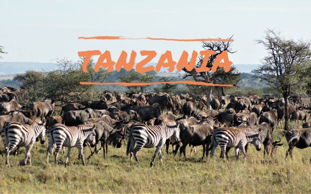 Women-Only Tanzania Safari Confirmed! Room for 3-4 more. | In partnership with Becoming an Outdoors Woman
