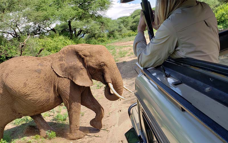 Women’s Adventure and Safari to Tanzania