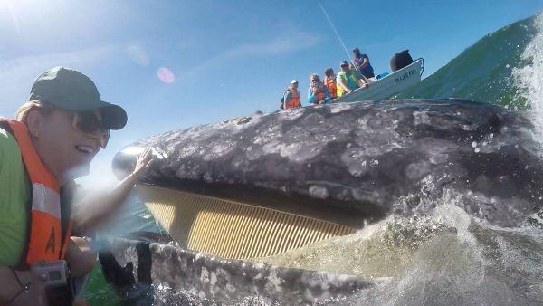 Becoming an outdoors woman baja