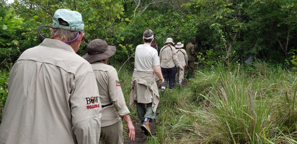Rhino Trekking