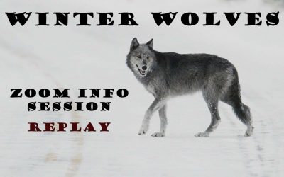 Winter Wolves & Wildlife Safari Informational Video Replay