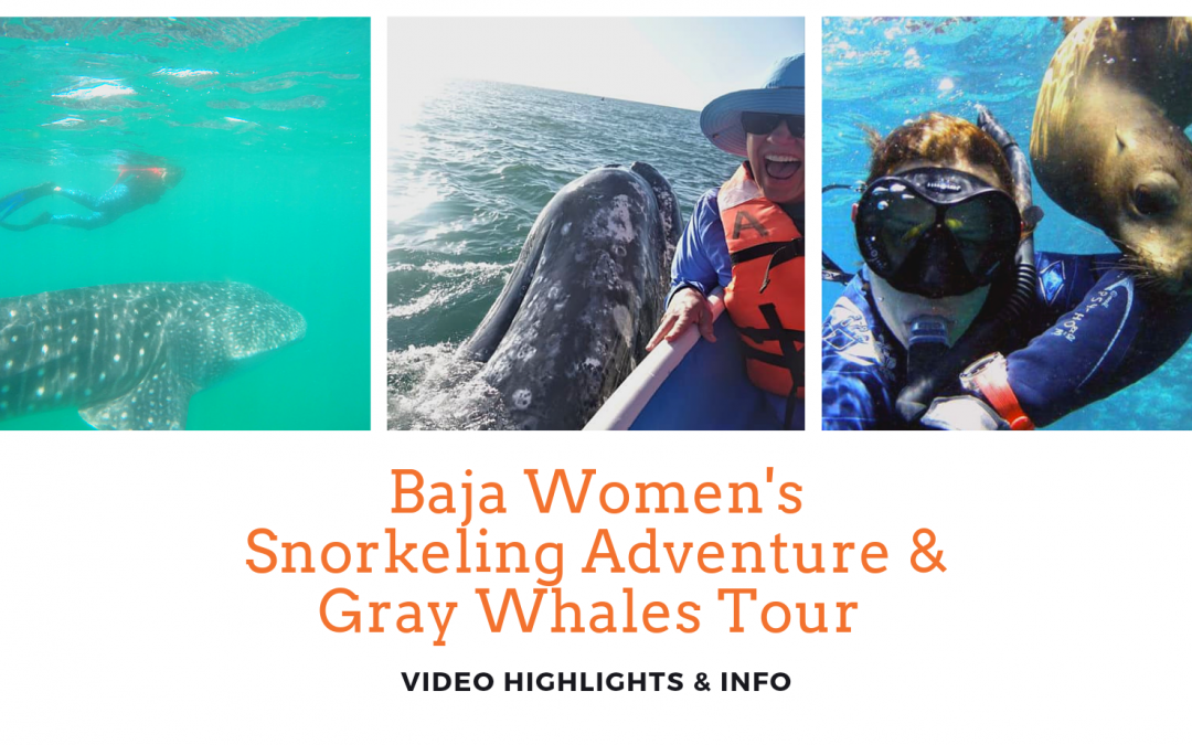 Green Edventures Baja Women’s Snorkeling Adventure And Gray Whales Tour Videos
