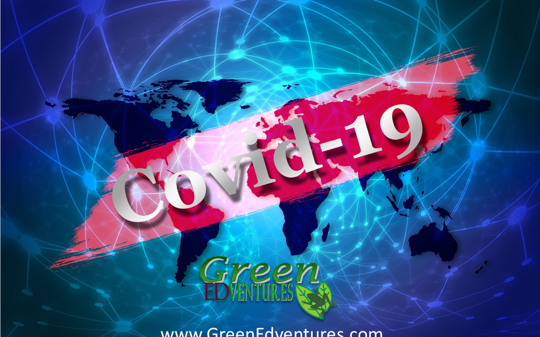 Green Edventures’ Response to U.S. to Require Negative Virus Tests From International Air Travelers