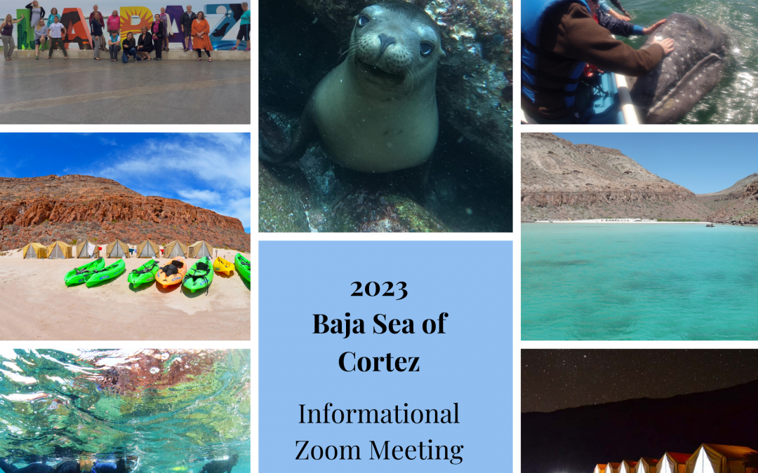Baja Sea of Cortez – Informational Zoom Recording