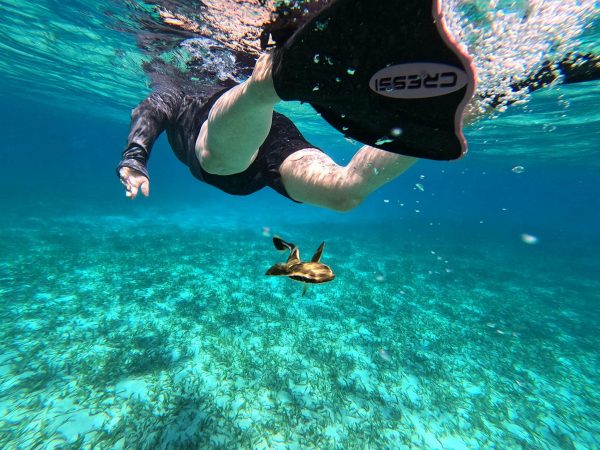 Womens Roatan Snorkeling and scuba eco tour