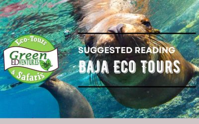 3 Book Recommendations for Baja Mexico Sea of Cortez