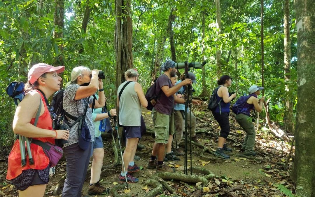 Choosing Your Hiking Shoes for Costa Rica