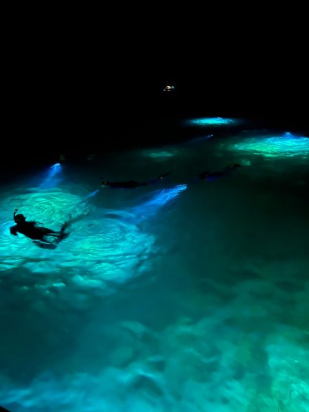 Night snorkeling on Green Edventures Women's SCUBA & Snorkeling Eco Tour Roatan Honduras