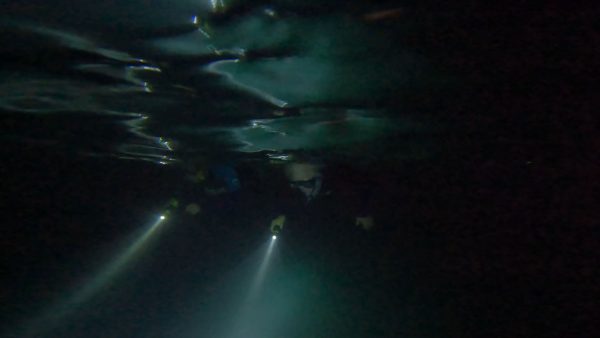 Night snorkeling on Green Edventures Women's SCUBA & Snorkeling Eco Tour Roatan Honduras