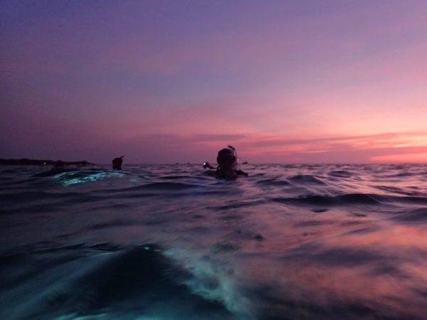 Night snorkeling on Green Edventures Women's SCUBA & Snorkeling Eco Tour Roatan Honduras