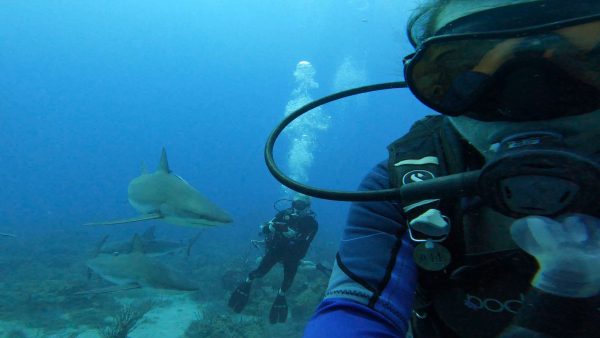 Women's SCUBA & Snorkeling Eco Tour Roatan Honduras