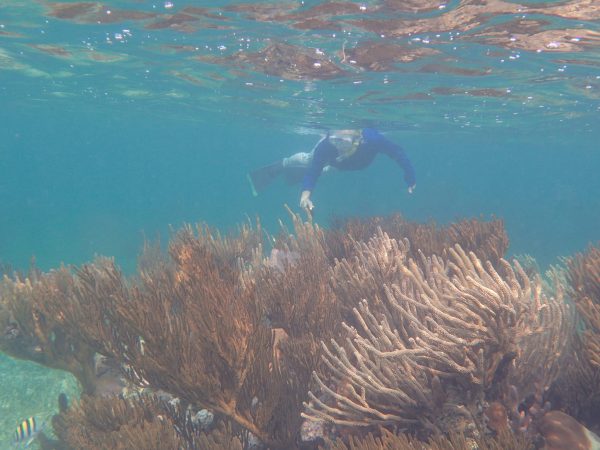 Women's SCUBA & Snorkeling Eco Tour Roatan Honduras