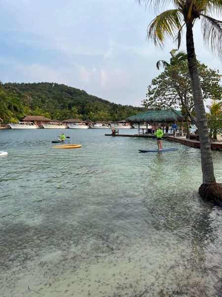Green Edventures Women's Roatan Snorkeling & SCUBA Eco Tour.
