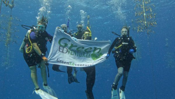 Green Edventures Women's Roatan Snorkeling & SCUBA Eco Tour