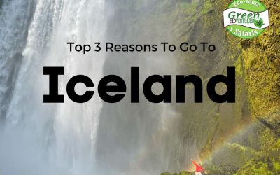 The Top 3 Reasons To Go To Iceland