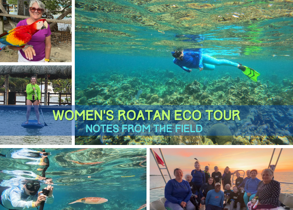 Women’s Roatan Snorkeling & SCUBA Eco Tour Trip Report