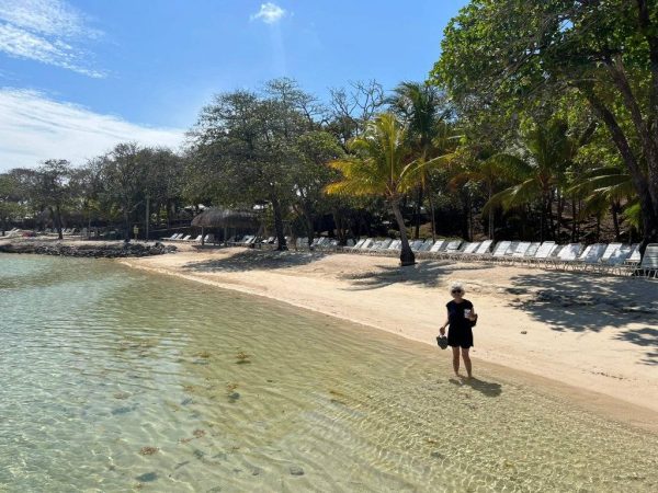 Green Edventures Women's Roatan Snorkeling & SCUBA Eco Tour