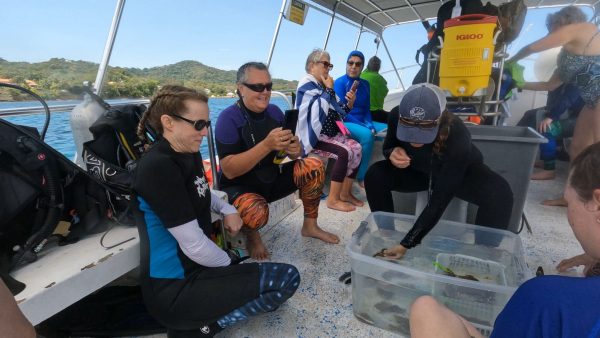 Green Edventures Women's Roatan Snorkeling & SCUBA Eco Tour