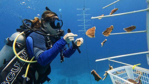 Green Edventures Women's Roatan Snorkeling & SCUBA Eco Tour