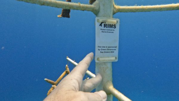 Green Edventures Women's Roatan Snorkeling & SCUBA Eco Tour