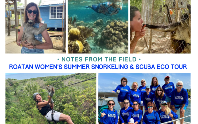 Women’s Roatan Summer Snorkeling & SCUBA Eco Tour
