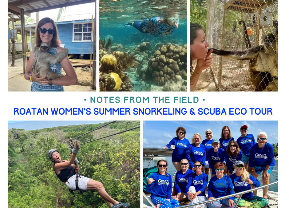 Women’s Roatan Summer Snorkeling & SCUBA Eco Tour