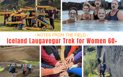 Iceland Laugavegur Trek for Women 60+ Adventure Trip Report