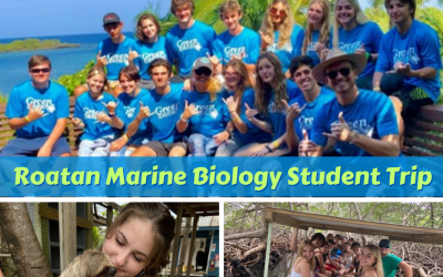 Roatan Marine Biology Student Trip Report