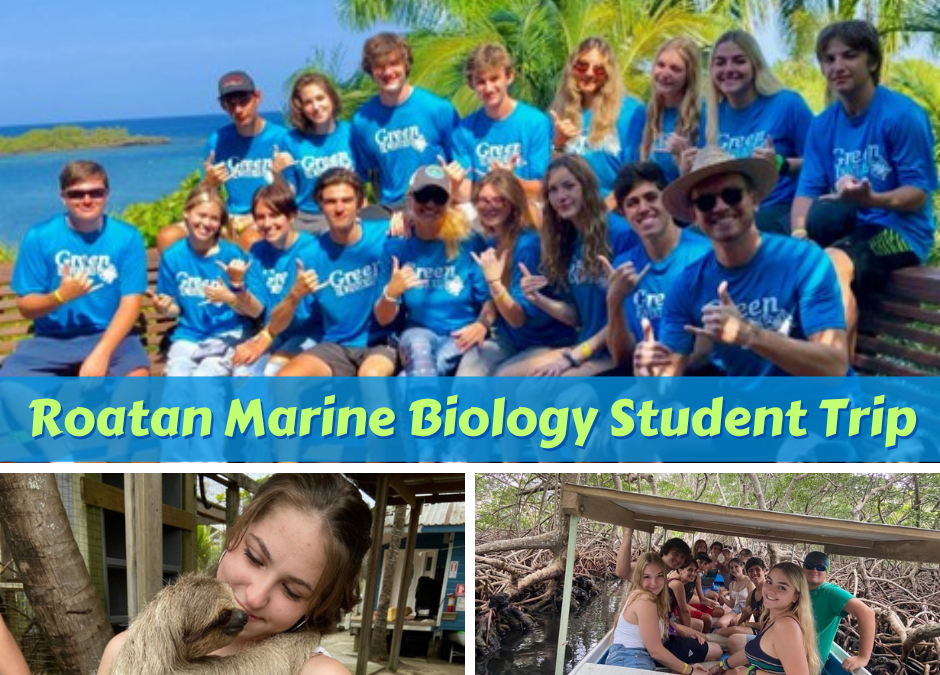 Roatan Marine Biology Student Trip Report