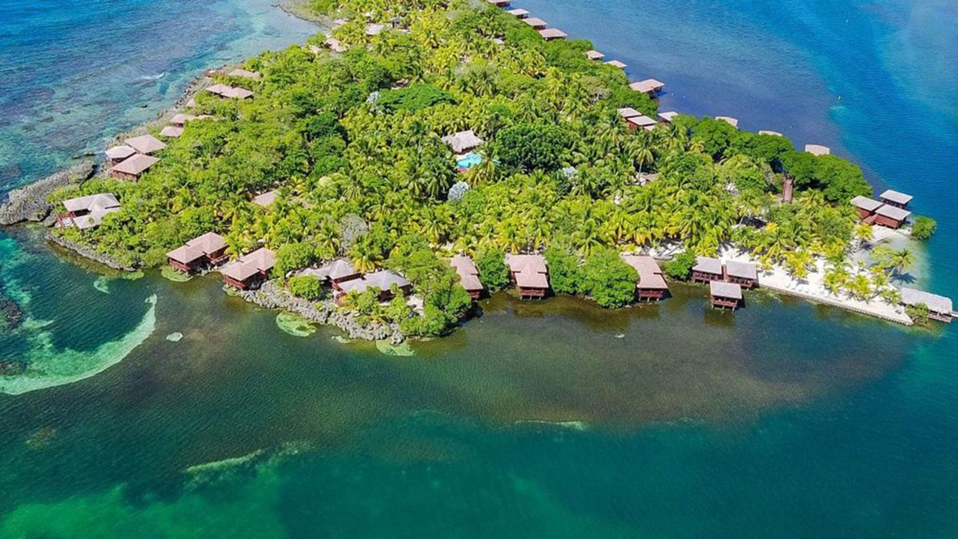 Roatan--Snorkeling-Ecotour