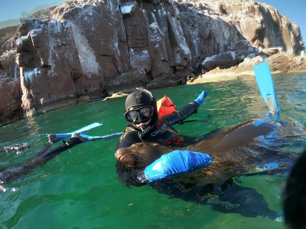 Green Edventures Women's Adventures Wildlife Tours 2024 Baja Mexico Snorkeling with Sea Lions