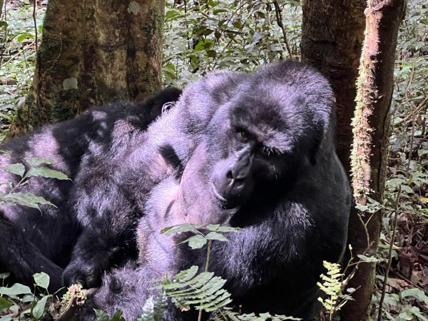 Green Edventures Women's Adventures Wildlife Tours 2024