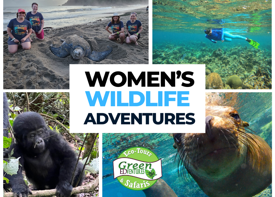 The Best Spring & Summer Women’s Adventures Wildlife Tours 2024