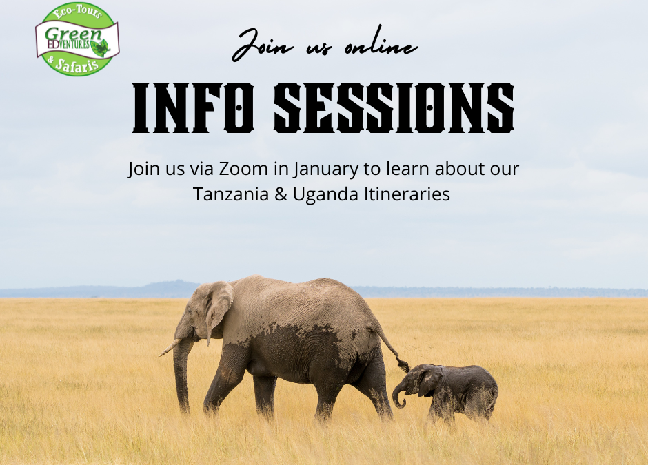 Women’s Adventures Africa Tours Info Sessions January 2024 | Join us on Zoom January 2024.