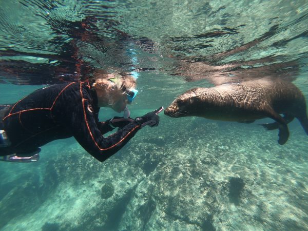 Student getting up close to a sea lion in Baja Mexico