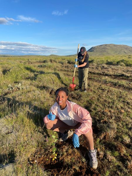 Students planting trees in Iceland, reducing the carbon footprint of their trip