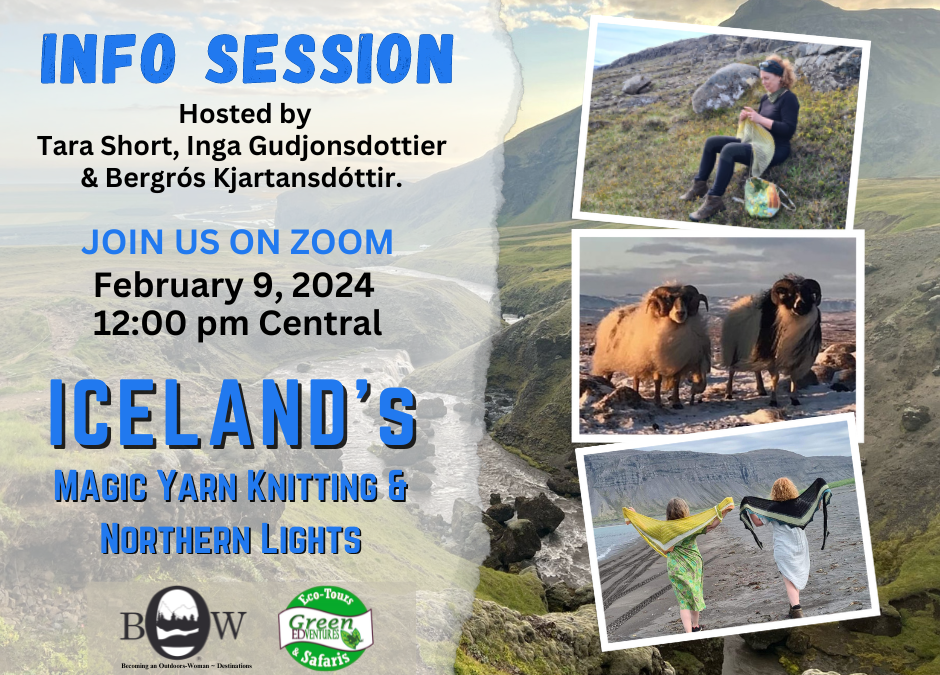Iceland 2024: Magic Yarn Knitting & Northern Lights Zoom Info Session Recording