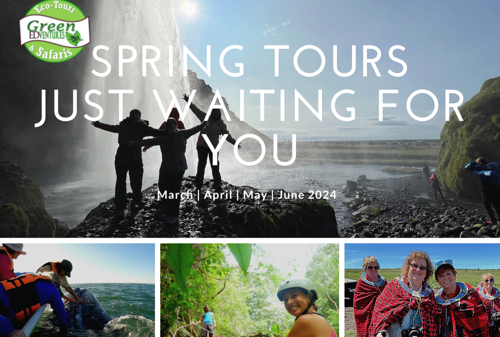 Women’s Adventures Spring 2024 | Green Edventures Tours