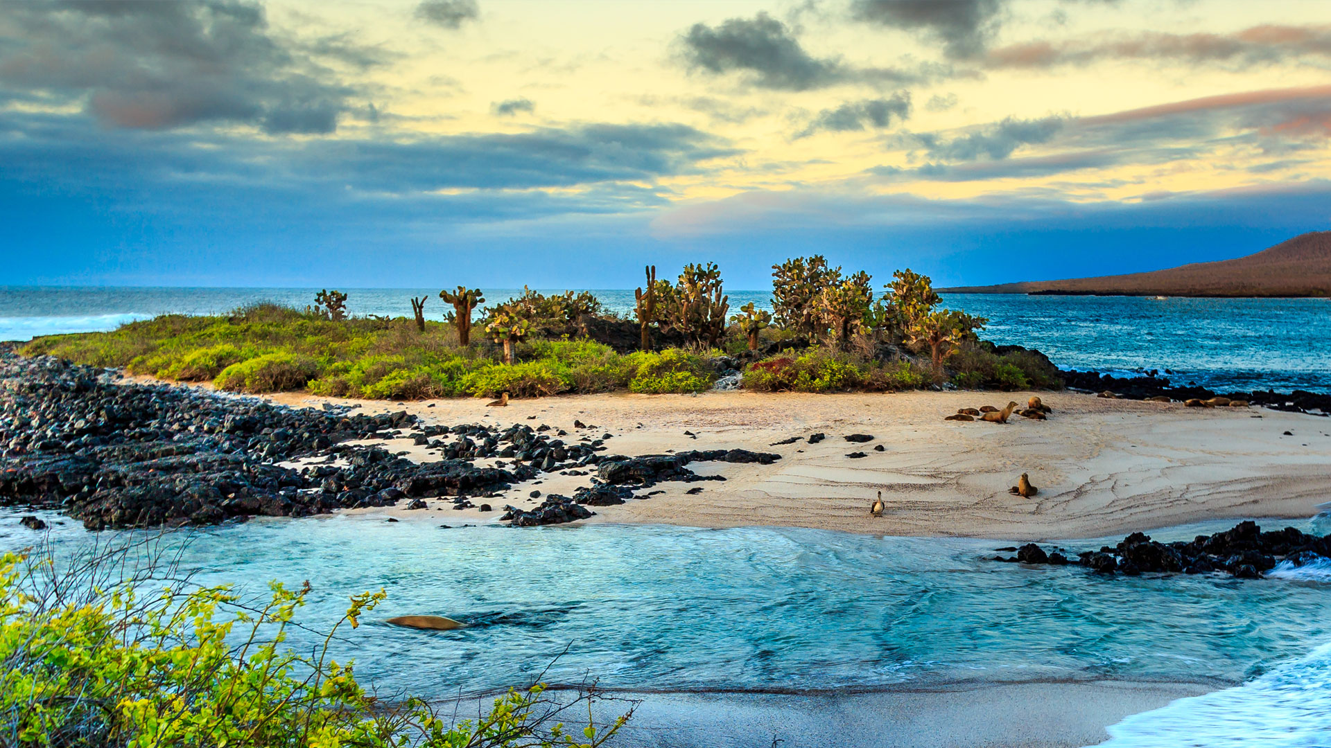 Galapagos-islands-Womens-Eco-tour
