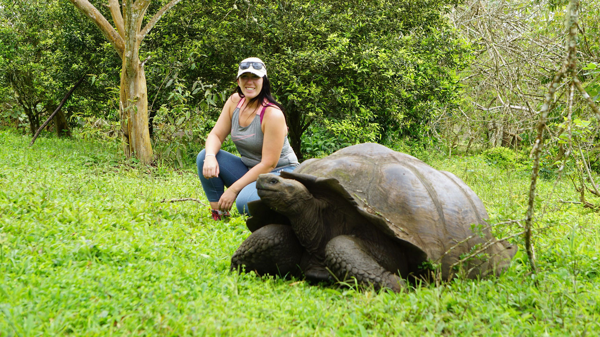 Galapagos-Turtle-Womens-Eco-Tour