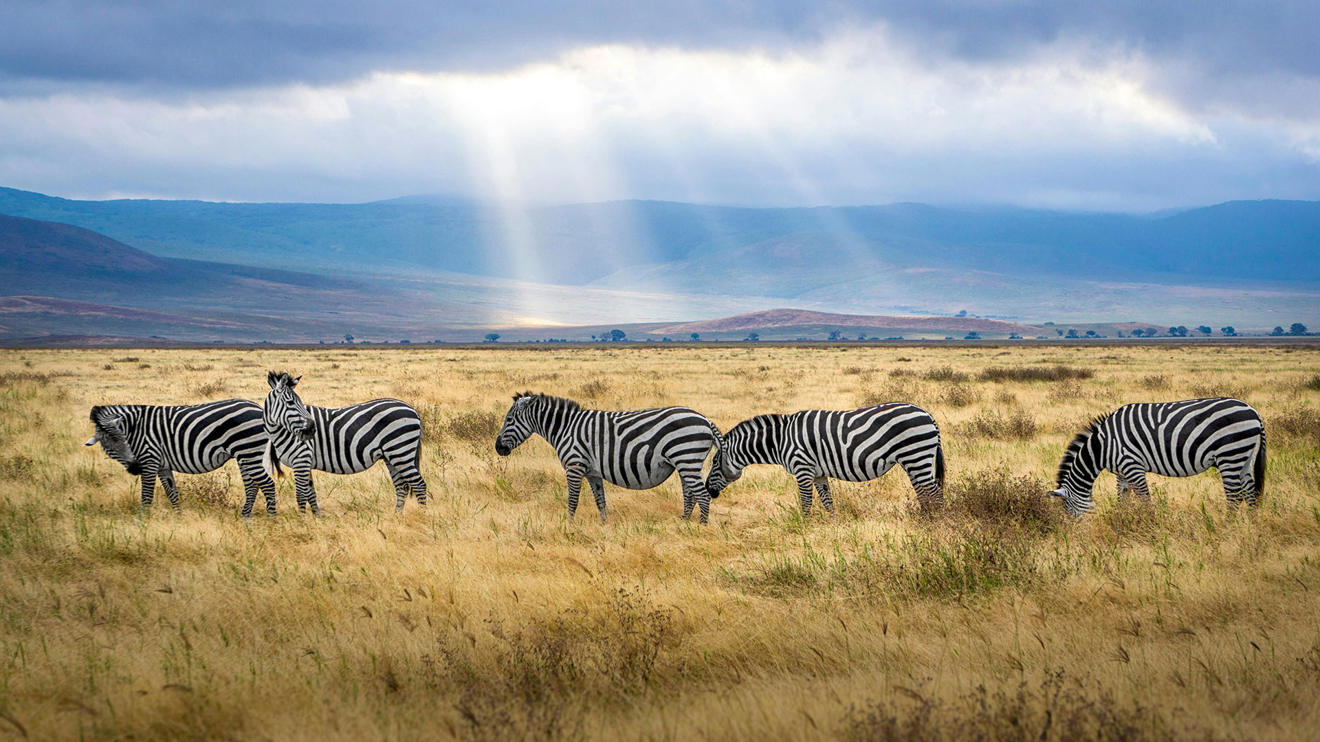 Africa-Serengeti-Safari-Tour