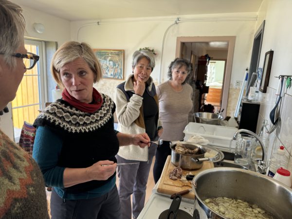 Guided Iceland knitting tour is better than do it yourself trips.