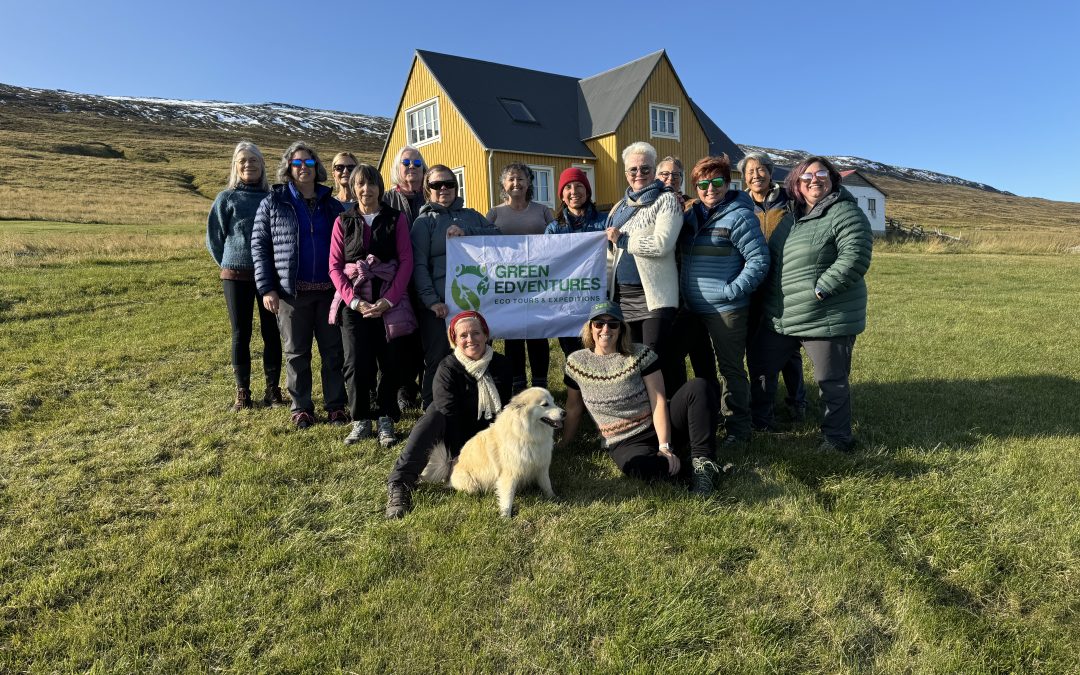 Iceland Knitting Tour: Why Choose a Guided Tour Over D.I.Y for the Full Experience