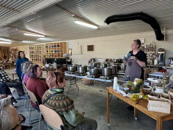 Guided iceland knitting tours