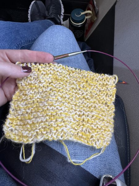 Iceland knitting tour