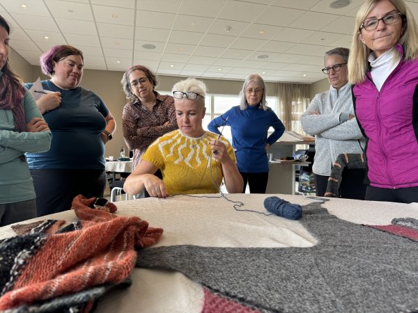 Guided Iceland Knitting Tour is better than DIY